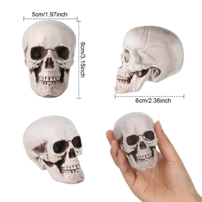 Boao 8 Pieces Halloween Skulls 2.0 x 2.4 x 3.1 Inches Realistic Looking Skulls Human Skeleton Head for Halloween Bar Home Table Decoration