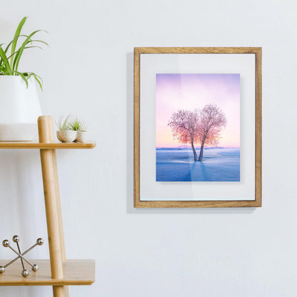 DLQuarts 11x14 Floating Photo Picture Frame, Floating Display for Photos 8x10, 7x9, 5x7, 8.5x11 Certificate, or Full Display for 11x14 Photos, Solid Wood, Double Glass, 2 Pack, Carbonized Brown