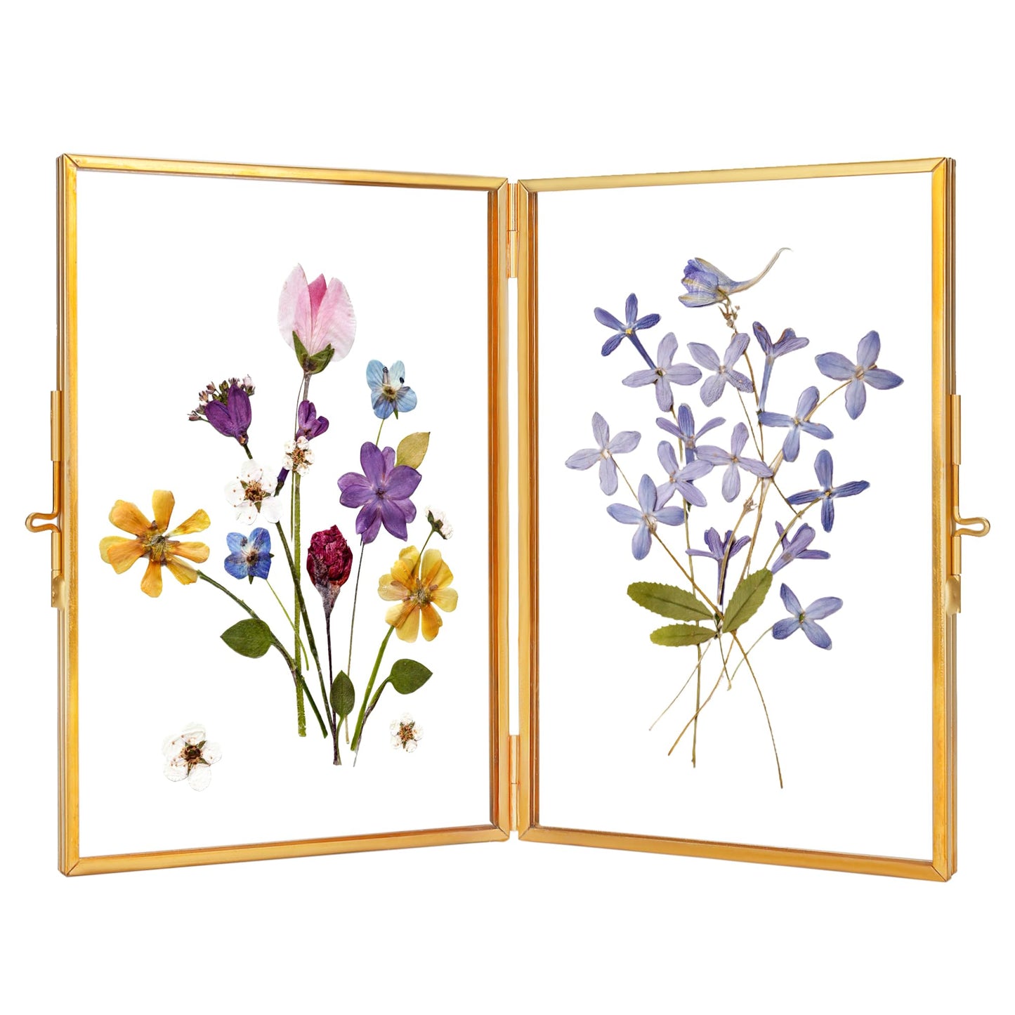 REDHUGO Glass Pressed Flower Frame Handmade, Hinged Double Press Flower Frame, Tabletop Brass Photo Frames, Rectangle Dried Flowers Display Folding Frames for Home, Gold,4×6 Inches