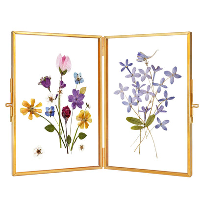 REDHUGO Glass Pressed Flower Frame Handmade, Hinged Double Press Flower Frame, Tabletop Brass Photo Frames, Rectangle Dried Flowers Display Folding Frames for Home, Gold,4×6 Inches