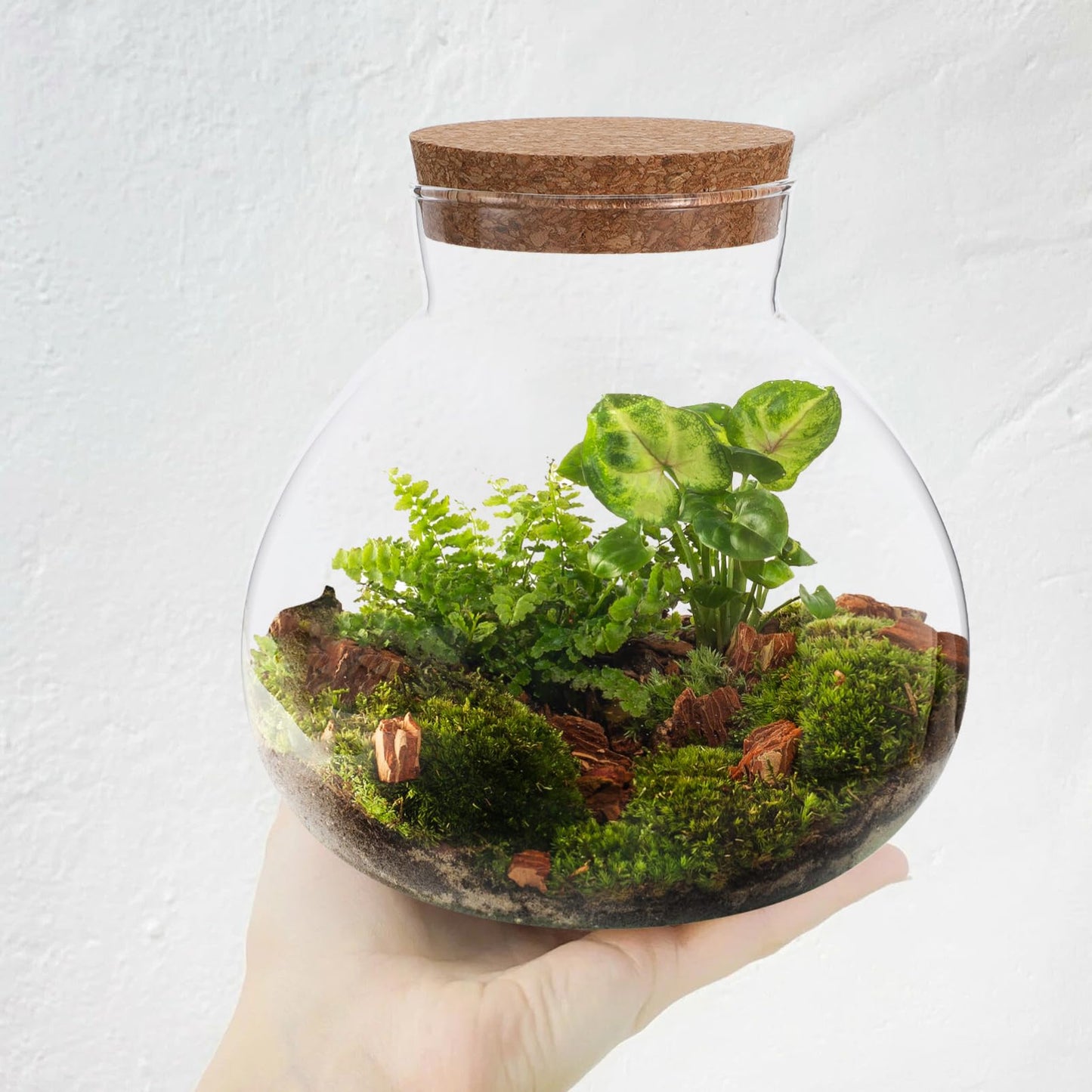 Cabilock Glass Terrarium Jar with Cork Lid, Ecological Bottle Micro Landscaping Bottle Storage Container Home Office Decor for Succulents Ferns and Decorative Plants