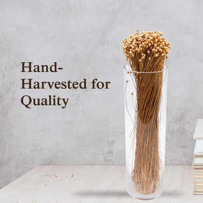 Quality Growers - Happy Flower Preserved Bouquet - Preserved Botanical Flowers for Home Decor, Floral Arrangements, Crafts & DIY Projects - Hand-Harvested - 22” Long - Natural