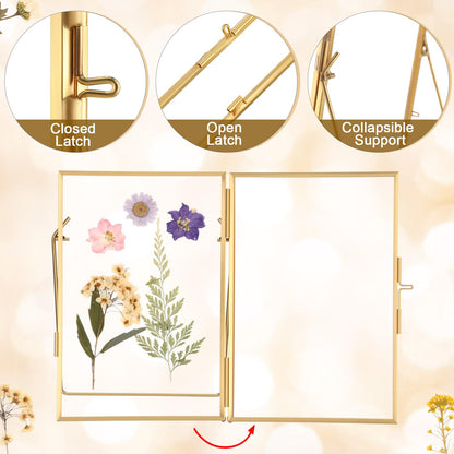 Vicenpal 3 Pack Glass Pressed Flower Frame Handmade, 4 x 6 floating Picture Frames for Pressed Flowers, Brass Double Glass for Tabletop Display, Home Office Plant Specimen, Photos(Gold)