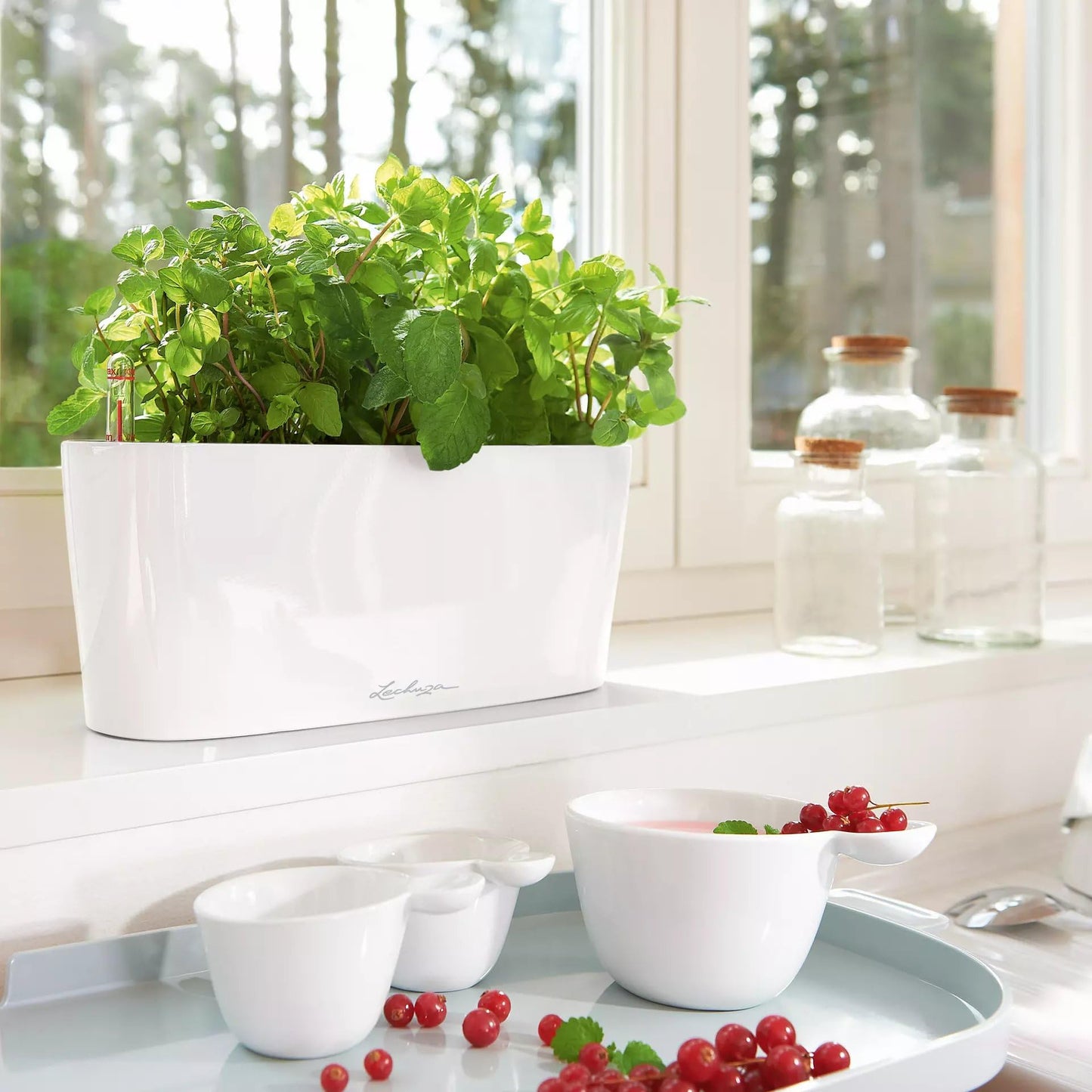 Lechuza Delta 10 Self Watering Plant Pot, White High Gloss, 30 cm