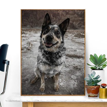 QAZWSX Blue Heeler Diamond Dots Australian Cattle Dog 5D Diamond Art Painting Kits Full Round Drill Rhinestone Embroidery Crystal Mosaic DIY Craft Home Wall Decor 12x16 inch