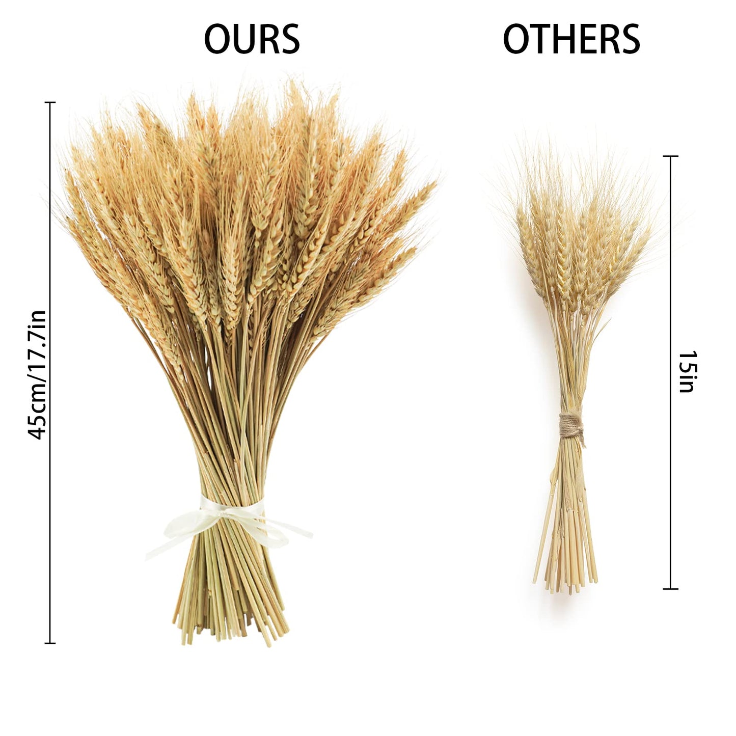 Phliofd 600 Stems Natural Dried Wheat Stalks, 18 inches Dried Wheat Grass Bundle Wheat Sheaves Wreath for Flowers Arrangement Wedding Table Centerpieces Home Kitchen Office DIY Party Décor