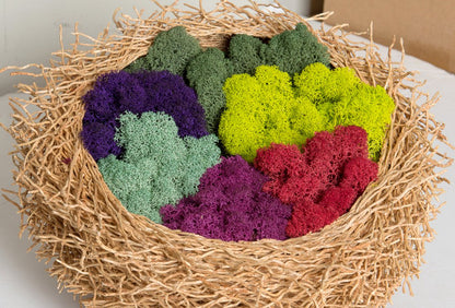 Super Moss (23169) Reindeer Moss Preserved, Fuchsia, 3lbs