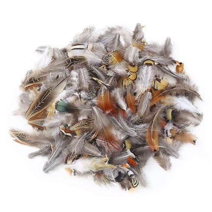 360pcs 12 Styled Natural Feathers Assorted Mixed Feathers for Jewelry and Dream Catcher Crafts