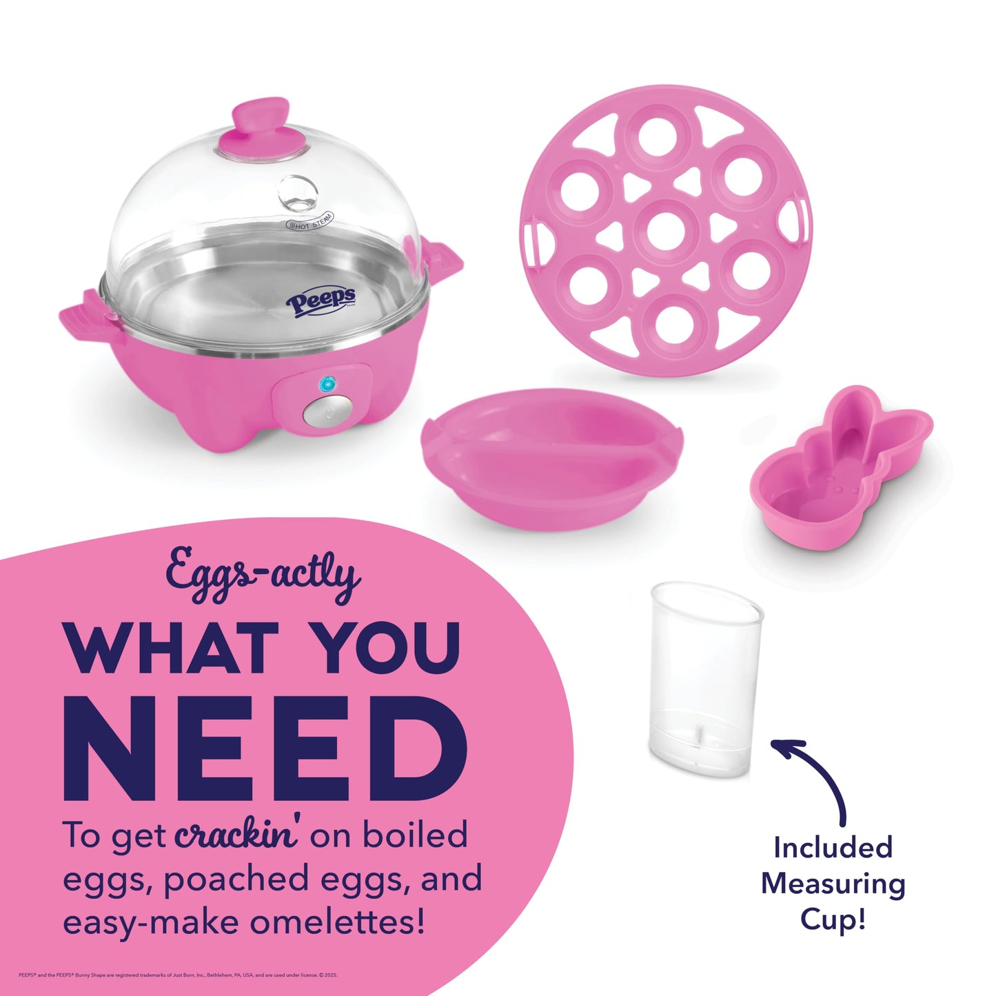 DASH Rapid Egg Cooker: 6 Egg Capacity Electric Egg Cooker for Hard Boiled Eggs, Poached Eggs, Scrambled Eggs, or Omelets with Auto Shut Off Feature - Aqua, 5.5 Inch (DEC005AQ)