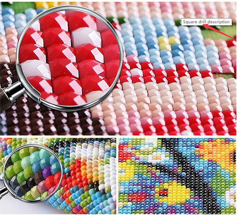 MMAHD 5D DIY Diamond Art Painting Kits for Adults Full,Frog Full Drill Embroidery Paintings Rhinestone Pasted DIY Painting Cross Stitch Arts Crafts for Home Wall Decor 9.8×11.8Inches