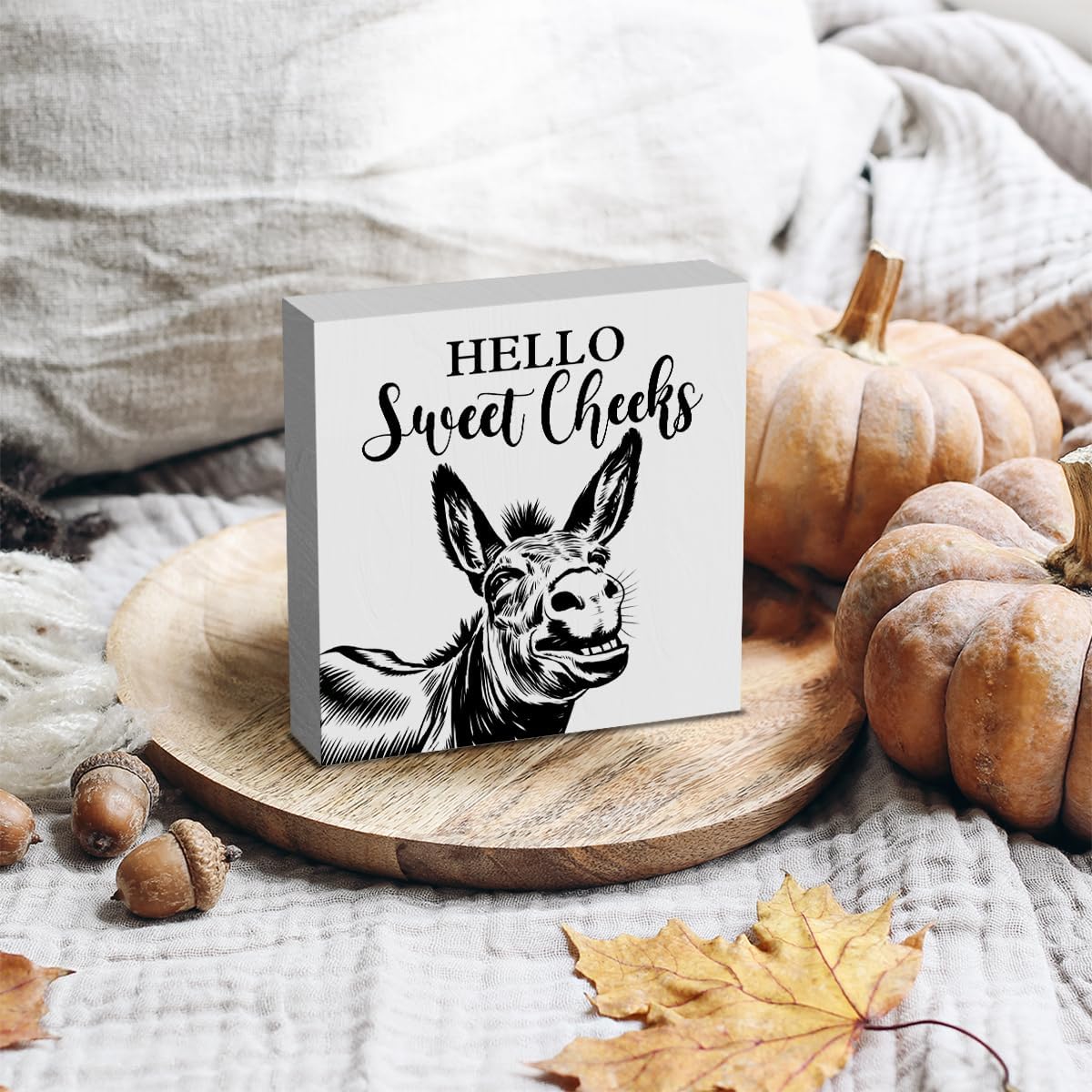 HTBIG 5 5 Inch Funny Donkey Bathroom Wooden Box Decor Hello Sweet Cheeks Wooden Box Logo Put It on a Bathroom Corner