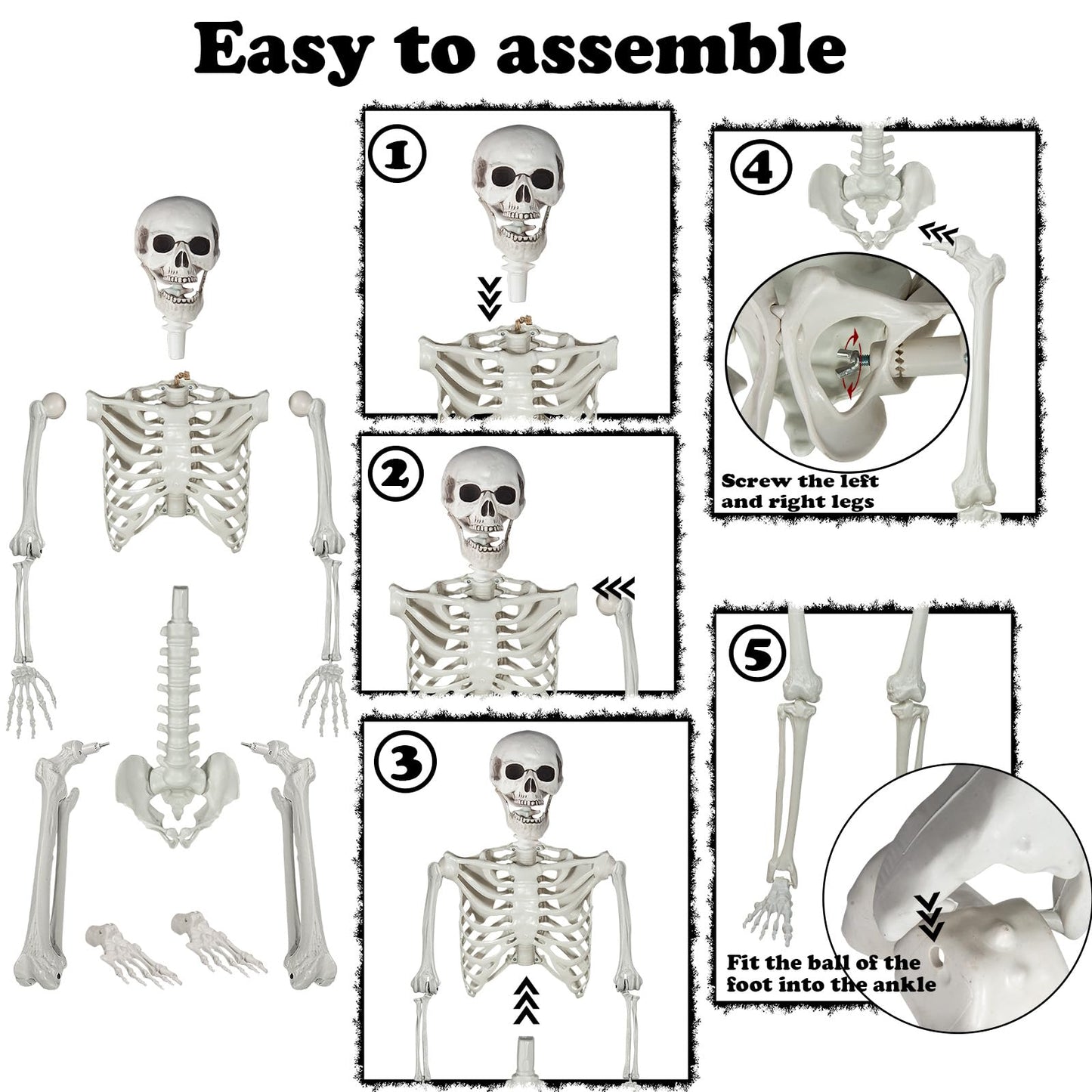 5.9ft Halloween Life Size Skeleton Realistic Full Body Skeletons Plastic Human Bones with Movable Joints for Halloween Props Spooky Party Decoration