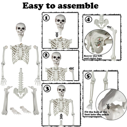 5.9ft Halloween Life Size Skeleton Realistic Full Body Skeletons Plastic Human Bones with Movable Joints for Halloween Props Spooky Party Decoration