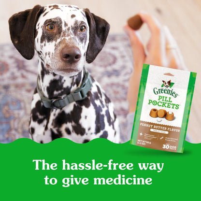 Greenies Pill Pockets for Dogs Large Size, Soft Dog Treats, with Real Peanut Butter, 15.8 oz. Pouch (60 Treats)