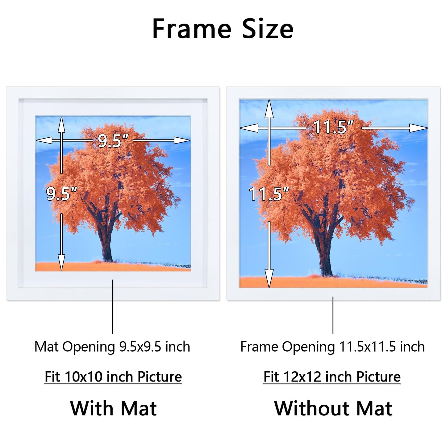 2 Pack 12x12 Picture Frame White, Solid Wood Diamond Art Painting Frames 30x30cm, Display Pictures 10x10 with Mat or 12 x 12 Without Mat, 12x12 Frame for Photos Posters Prints Artworks, Wall Hanging