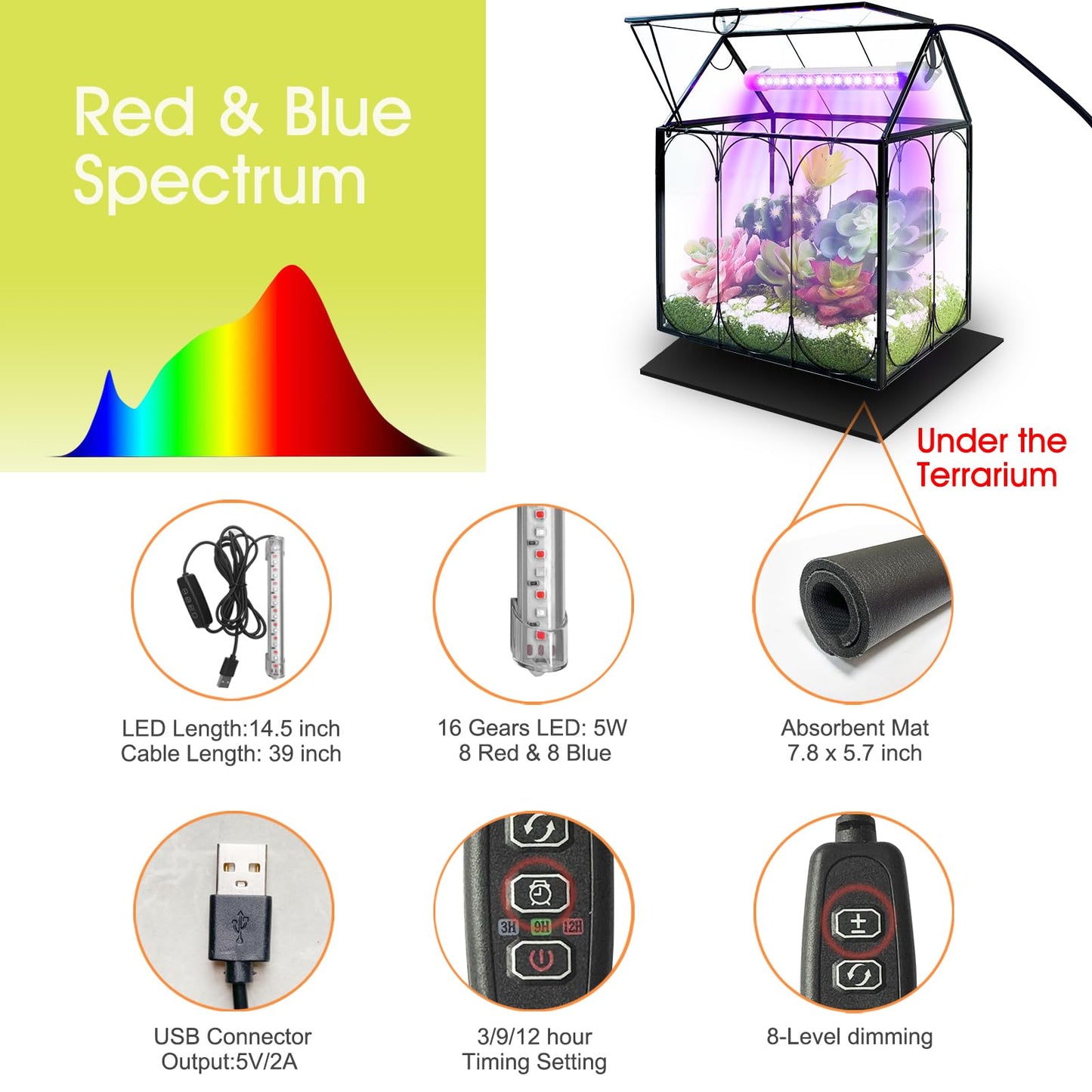 Plant Terrarium Kit with Grow Light, Rifny Small Glass Terrarium Jar with Absorbent Mat and Lid for Venus Fly Trap Succulent Live Air Plants Indoor Home Office Decor (Black, 7.1 x 4.8 x 8.8 inch)