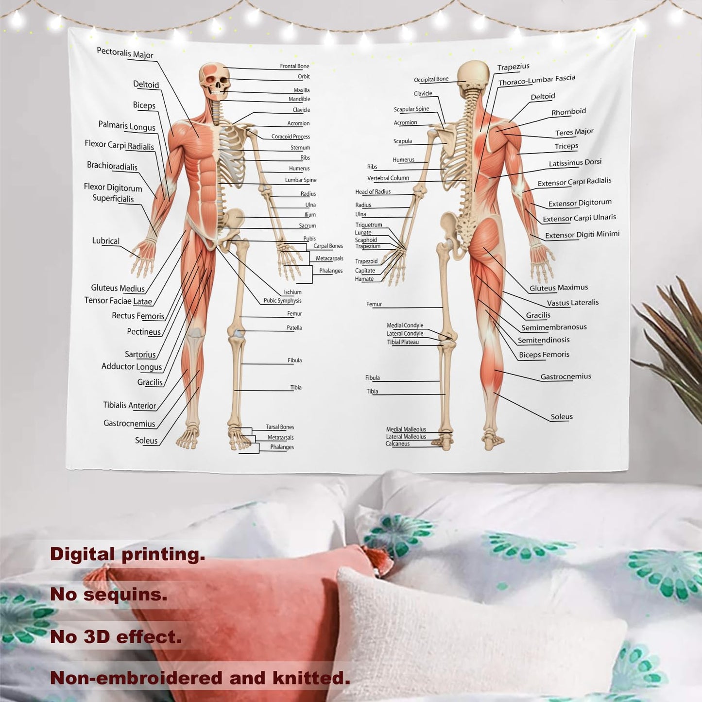 Batmerry Skeleton Tapestry, Body Human Skeleton Anatomy Backbone Biology Board Bone Picnic Mat Hippie Trippy Tapestry Wall Art Decor for Bedroom Living Room, 51.2 x 59.1 Inches, Human Anatomy