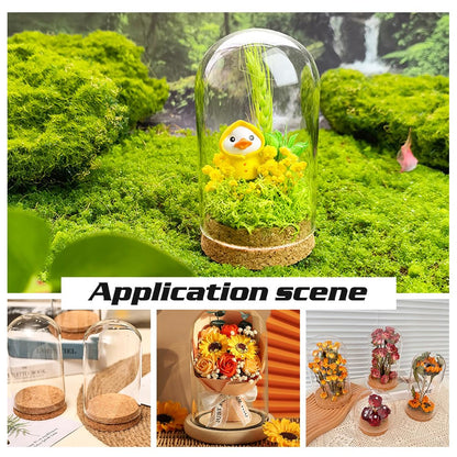 BENECREAT 5.2x3.9inch Glass Display Dome Cloche, Glass Bell Jar with Cork Base for Flower Plants, Specimens, Crafts Decorations