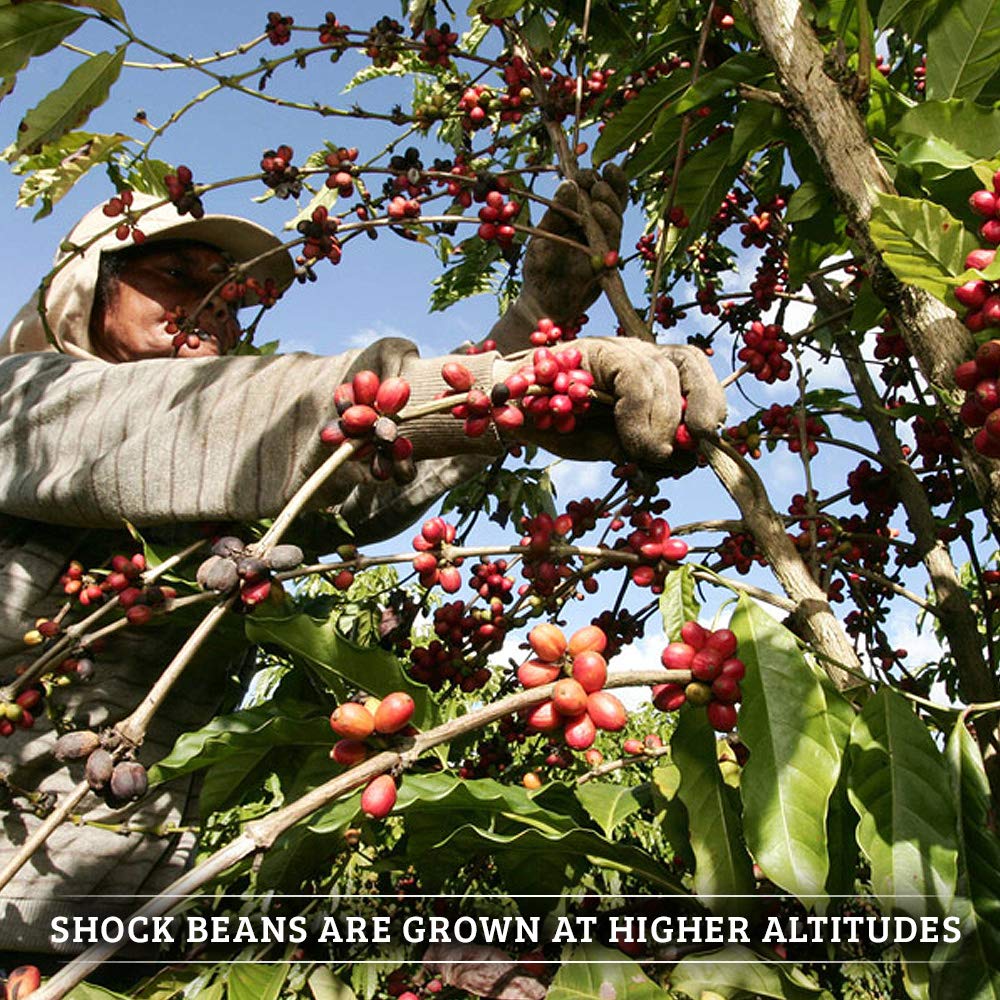 Shock Coffee Ground Stay Fresher Packs. The Strongest Caffeinated All Natural Coffee, Up to 50% more Caffeine than Regular Coffee, 6.6 pounds (40-2.65oz bags)
