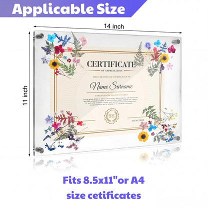 AmazingSpark 1 Set Pressed Flower Diploma Frame Floating Frameless Clear Acrylic Wall Mount Picture Frame, 24 Nano Strip 6 Color Pressed Flower for Certificate Degree Artwork (11x14'',Colorful)