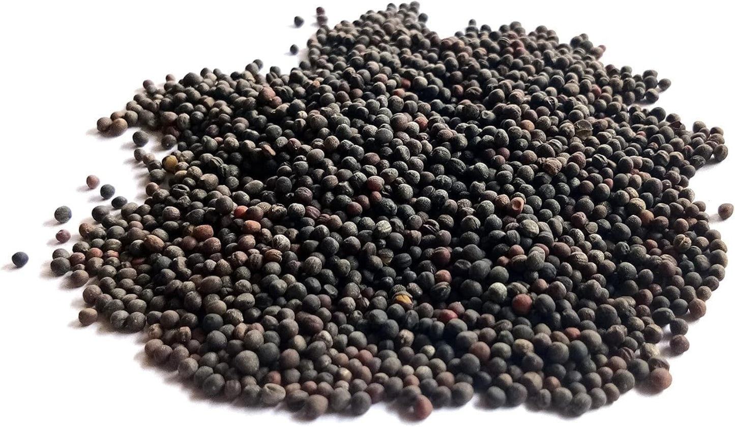 Axel's Garden Seeds 2 Packets Red Russian Kale Seeds for Planting Plant & Grow Heirloom Non GMO Red Russian Kale