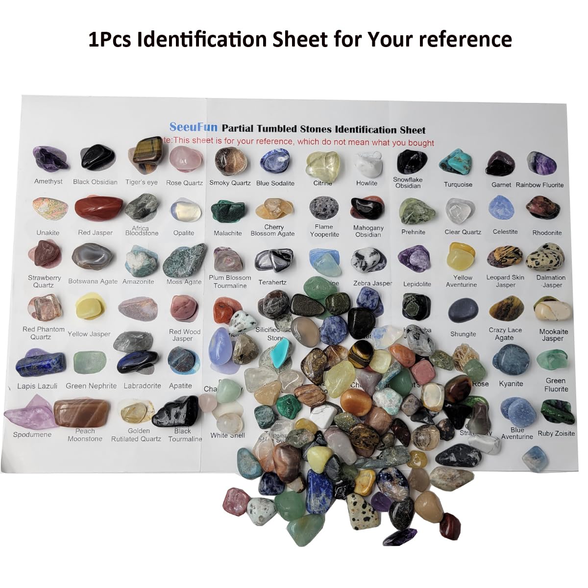 800Pcs+ (3lb) Gemstones and Crystals Set,30Kinds+ Bulk Rocks and Minerals Science Kit,Rocks Collections for Kids,Tumbled Chips Crystals,Crushed Stones