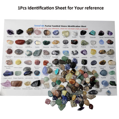 800Pcs+ (3lb) Gemstones and Crystals Set,30Kinds+ Bulk Rocks and Minerals Science Kit,Rocks Collections for Kids,Tumbled Chips Crystals,Crushed Stones