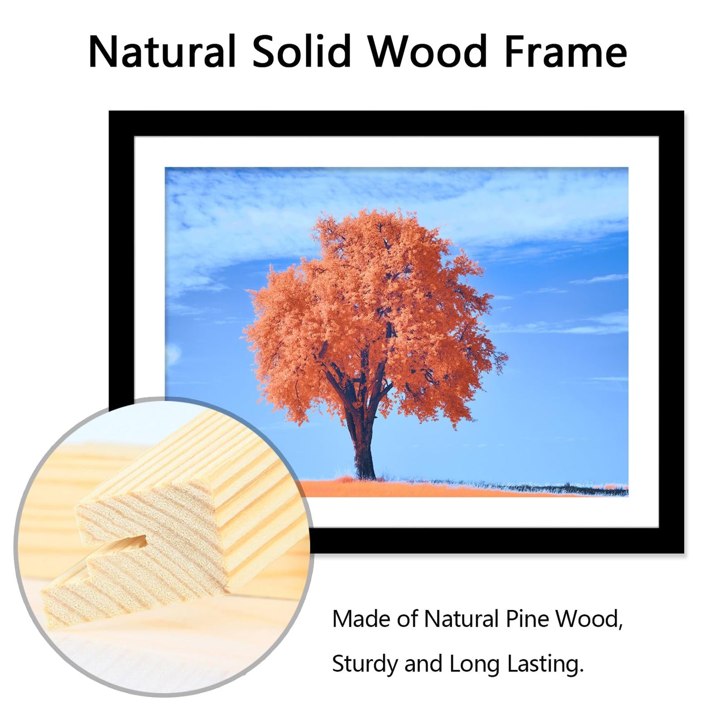 2 Pack 12x16 Picture Frame Black, Solid Wood Diamond Art Painting Frames 30x40cm, Display Pictures 10x14 with Mat or 12 x 16 Without Mat, 16x12 Frame for Photos Posters Prints Artworks, Wall Hanging