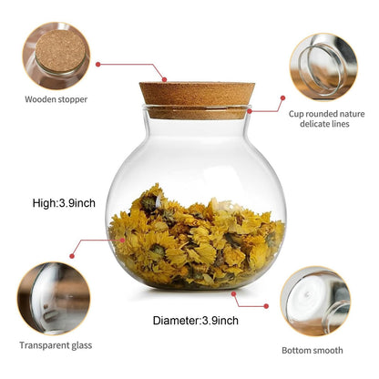 DNIENKGE 17oz Spherical Glass Jar with Cork Lid Airtight - Kitchen Glass Jar for Preserving and Storing candy, tea, Coffee, Spice, flour, Beans etc (2)