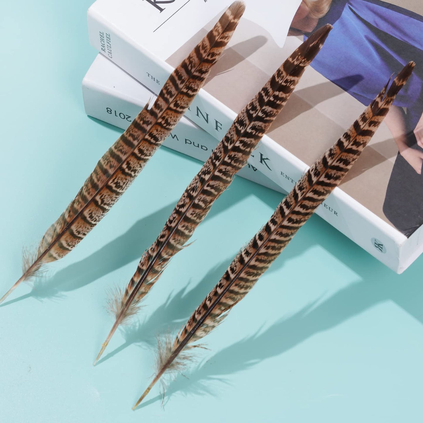 obmwang 27Pcs 25-30cm Natural Pheasant Feathers for DIY Craft Wedding Home Party Decorations