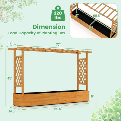 LDAILY Raised Garden Bed with Trellis, Above Ground Garden Bed with Hanging Roof, Side Trellis, & 6 Drainage Holes, Planter Box for Outdoor Climbing Plants Vines Flowers