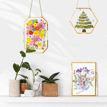 IcosaMro 3 Pack Double Glass Frame for Pressed Flowers 4"x 6" Adult Craft Kits with Brass Glass Frames & 4 Sheets Pressed Flower, Window Hanging Wall Decor Frame for Dried Flowers Leaves Plants