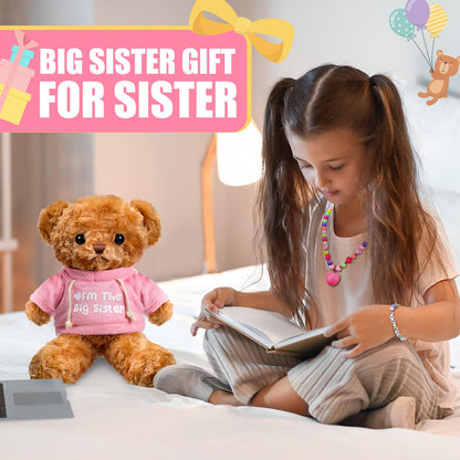 Taiyin 5 Pcs Big Sister Gift Set Big Sister Bear with Colorful Bracelet Necklace Jewelry Pink Stuffed Animal Bear Doll Toy Gift for Who Promoted with Beautiful Greeting Card and Box