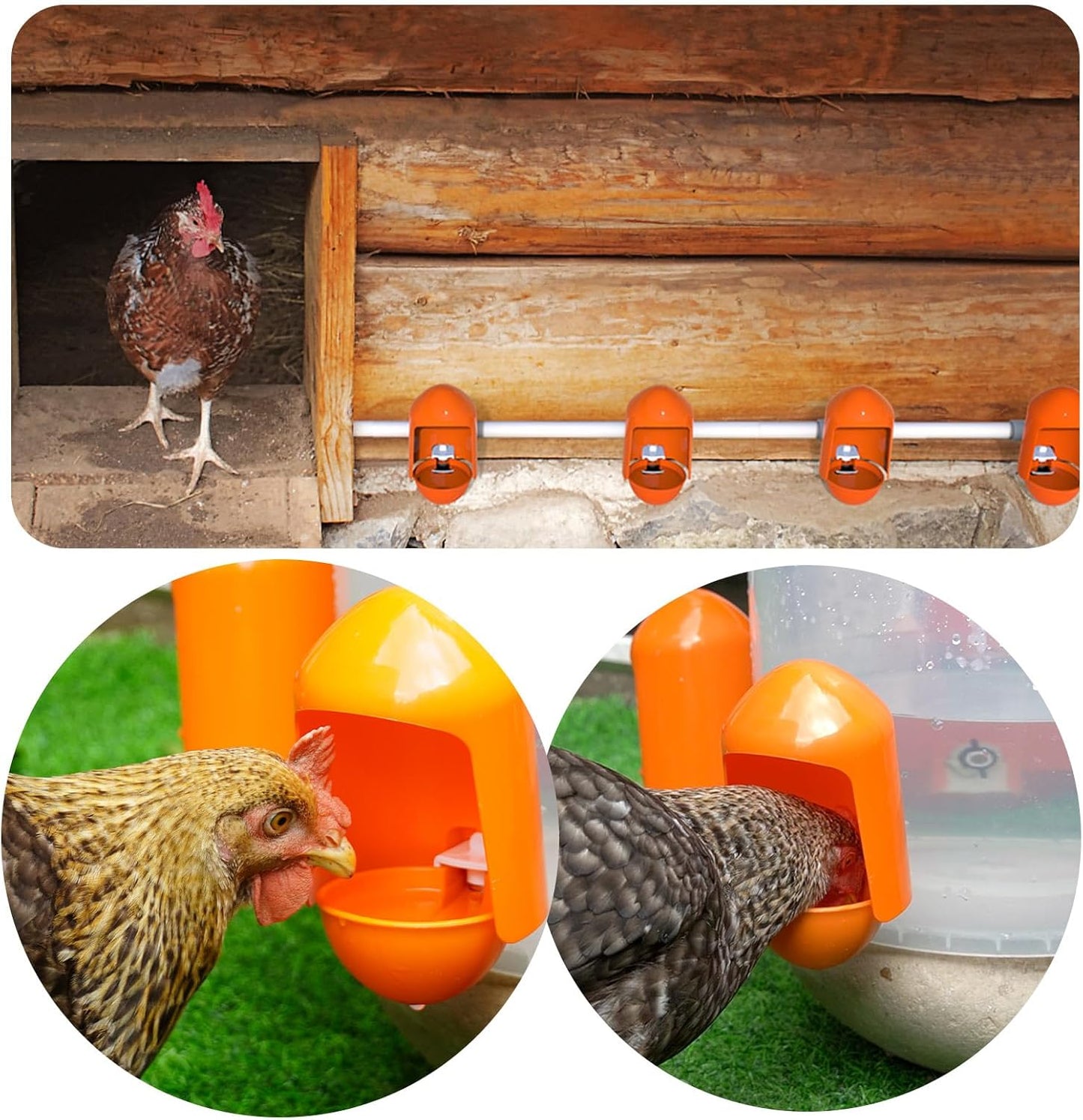 Labodey (5 Pack) Large Chicken Waterer Cups Automatic with Anti-Roosting Cover | Poultry Waterer Cups Suitable