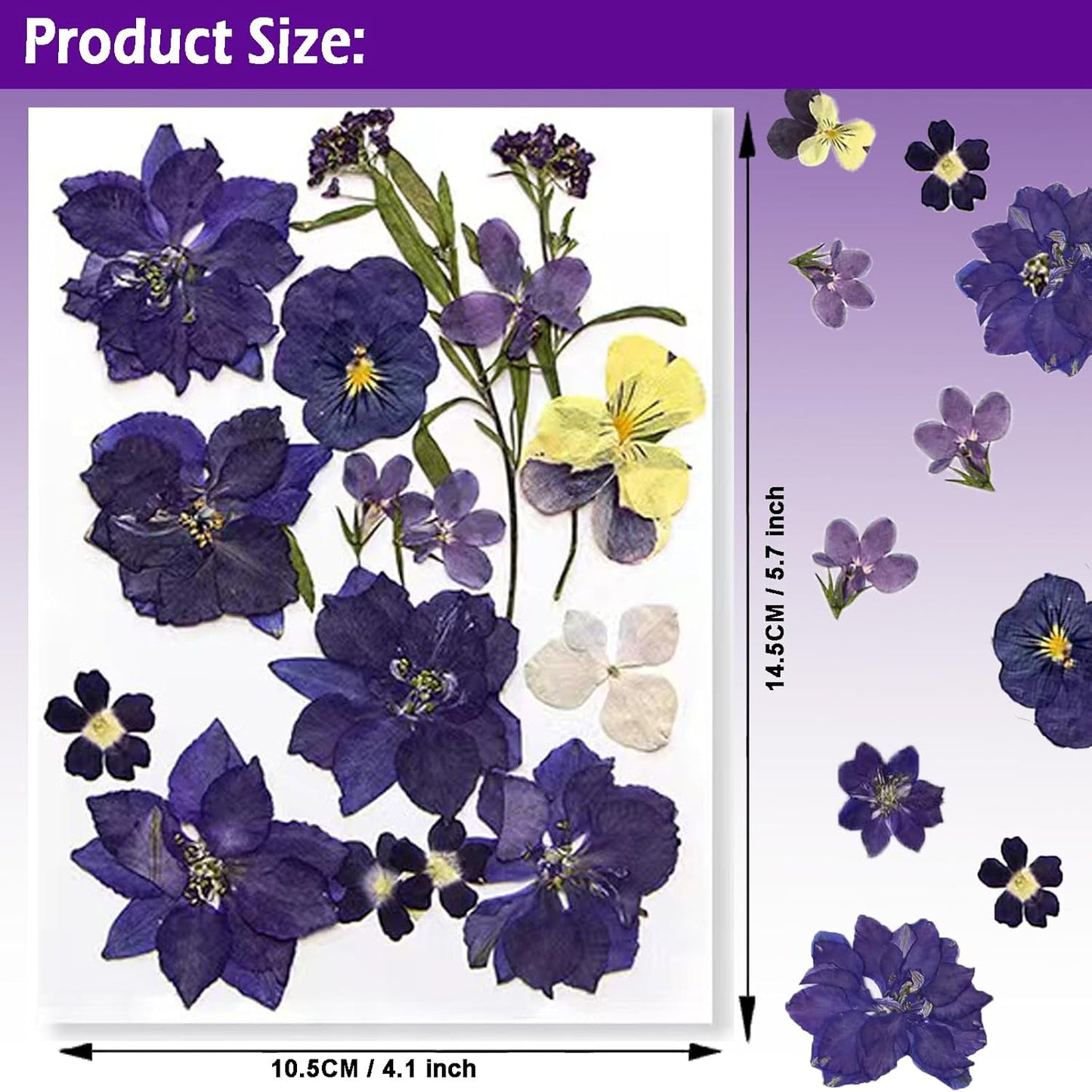 Flowers for Resin Model, Real Pressed Flowers Dry Leaves Bulk Natural Herbs Kit for Scrapbooking DIY Art Crafts, Epoxy