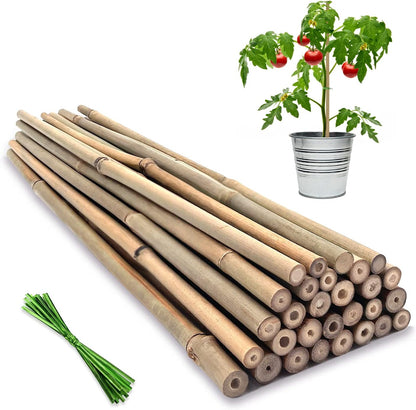 BOVITRO 12-Inch Natural Bamboo Plant Stakes - 20 Pcs Support for Tomatoes, Beans & Potted Plants