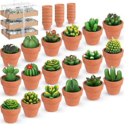 18 Treela Pcs Succulent Cactus Tealight Candles Handmade Tea Lights Baby Shower Plant Candle Gift with Mini Terracotta