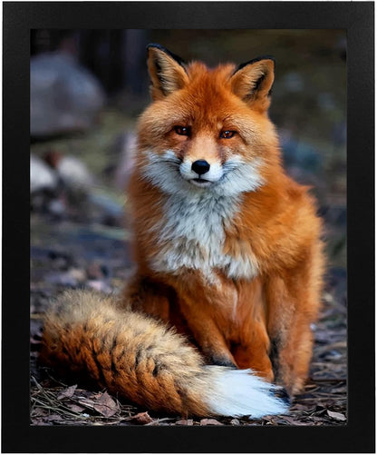 8x10" "Cute Woodland Fox" Wall Art Print - Unframed Forest Animal Print Ideal For Home decor, Nursery Decor,Woodlands