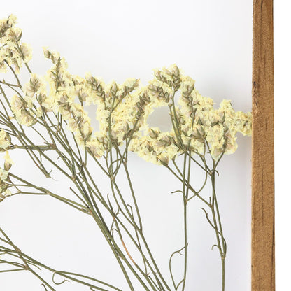NIKKY HOME Dried Flowers Grass Wall Art Set of 2 Natural Plant Artwork with Clear Glass Display Frame and Jute Rope Gallery Wall Decor Living Room Decor