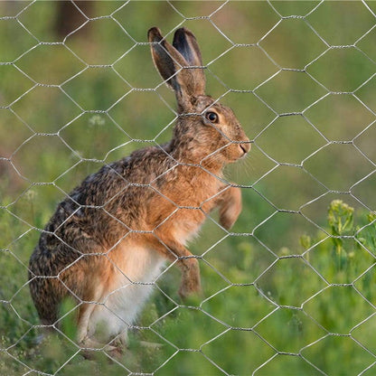 20GA 18 inches 50 2 inches Galvanized Hexagonal Poultry Netting Chicken Wire x feet x Mesh