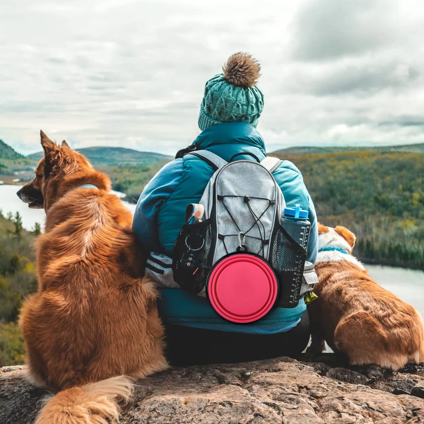 Collapsible Dog Bowls-2 Pack Large Size for Large/Medium Dogs, Pet Travel Water Bowl, Dogs Cat Portable Water Bowl, Dog Pet Feeding Watering Dish Outdoor Hiking Parking Traveling with 2 Carabiners