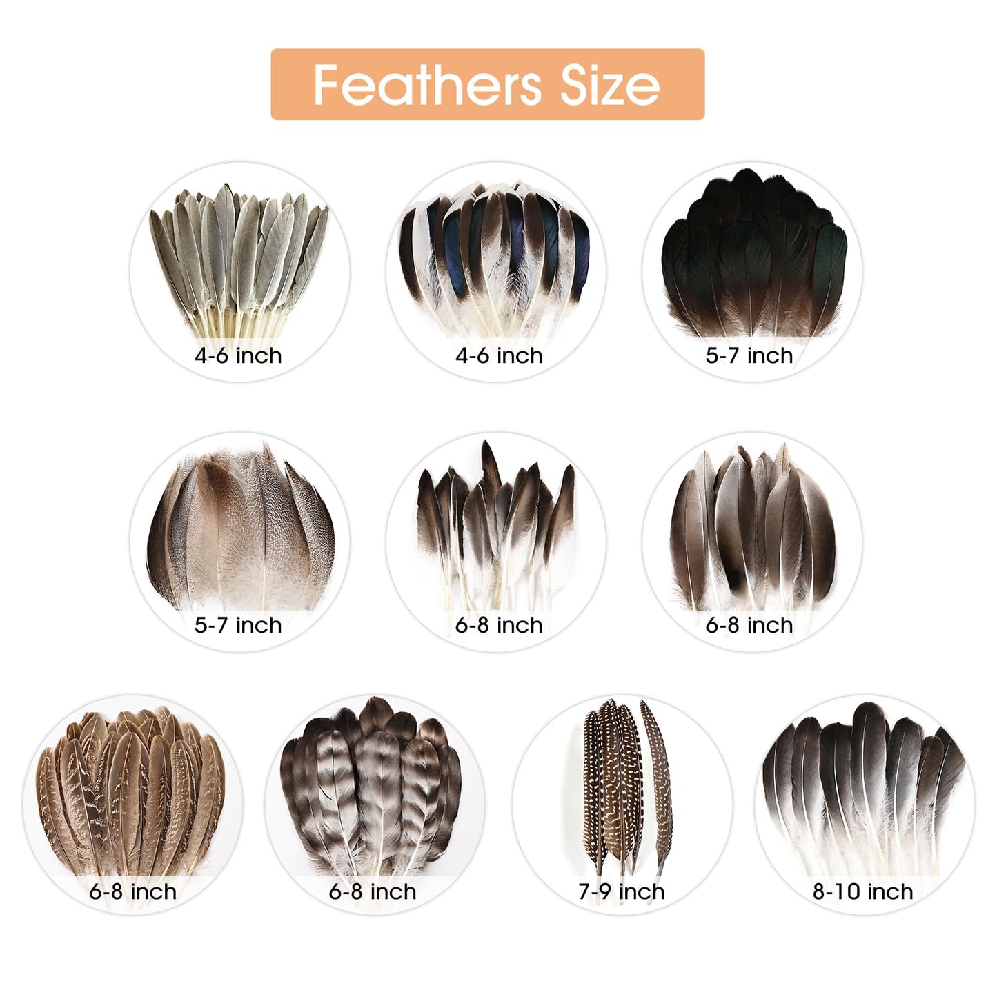 iHUFeather 120pcs Natural Pheasant Feathers Bulk Spotted Feathers 10 Styles Mixed Feathers for Crafts DIY Hat Floral Arrangements Wedding Home Decorations