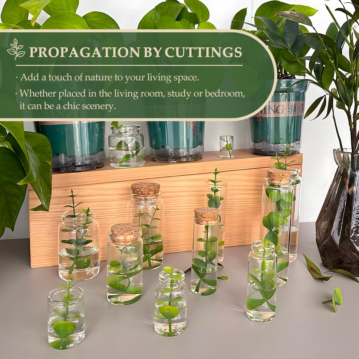 6-Pack 2.71 oz (80 ml) Glass Bottles with Cork Stoppers – for Spell Bottles, Spice Jars, DIY Party Favors, Travel Memories & Plant Propagation – Empty Recyclable Containers for Crafts, Kitchen,Décor