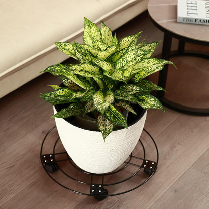 3 Packs 13.5" 5 Metal Plant Caddy with Wheels Large Wrought Iron Metal Rolling Plant Stands Heavy-duty Plant Roller Pot
