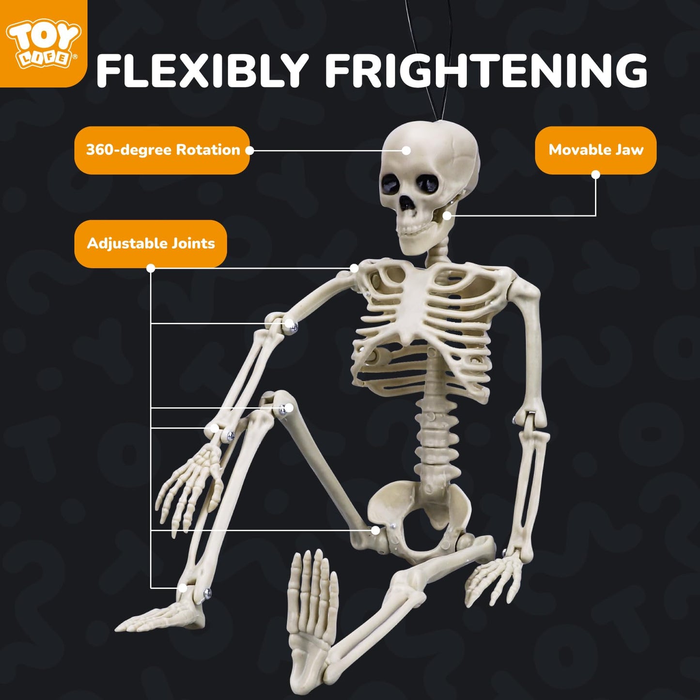 TOY Life 16" Posable Halloween Skeleton Decor - 10 Pcs Full Body Joints for Outdoor Indoor Decorations, Hanging Plastic Skeletons