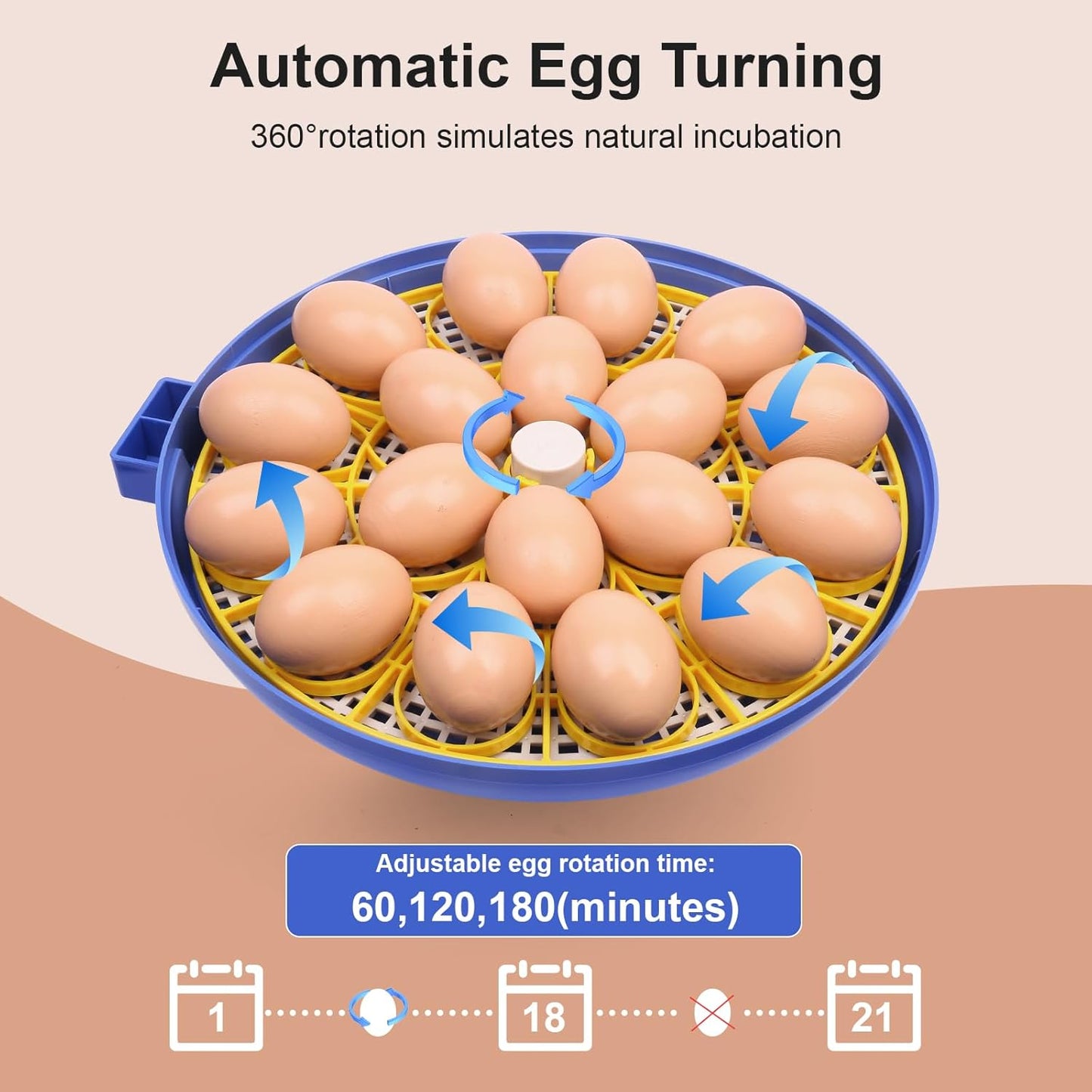 IIGLOWING 18 Eggs360Airflow Egg Incubators for Hatching Circulation System Incubator with Automatic Egg Turner