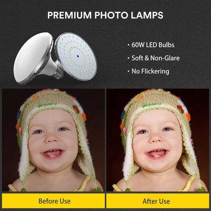 RALENO Softbox Lighting Kit, 20X20-Inch Photography Lighting Kit with LED Bulbs(60W | 5500K | CRI>97 | 3m Cable) & 80'' Tall Light Stands, Soft Box for Recording/Portrait Photography | Model: PS70