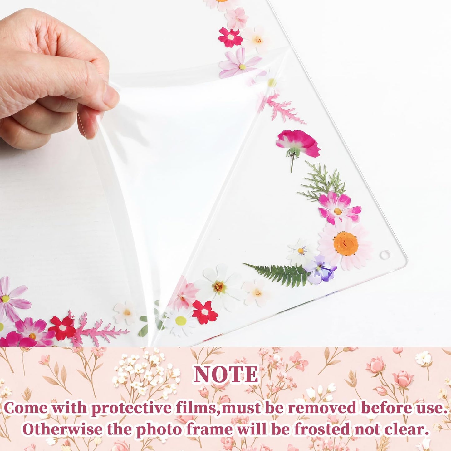 Novabright 2 Set 2026 5.5x8.5 Floral Acrylic Graduation Certificate Frame Pressed Wildflower Wall Mount Floating Picture Frame A4 Photo for Graduation Diploma Degree Document Memory Picture Gift