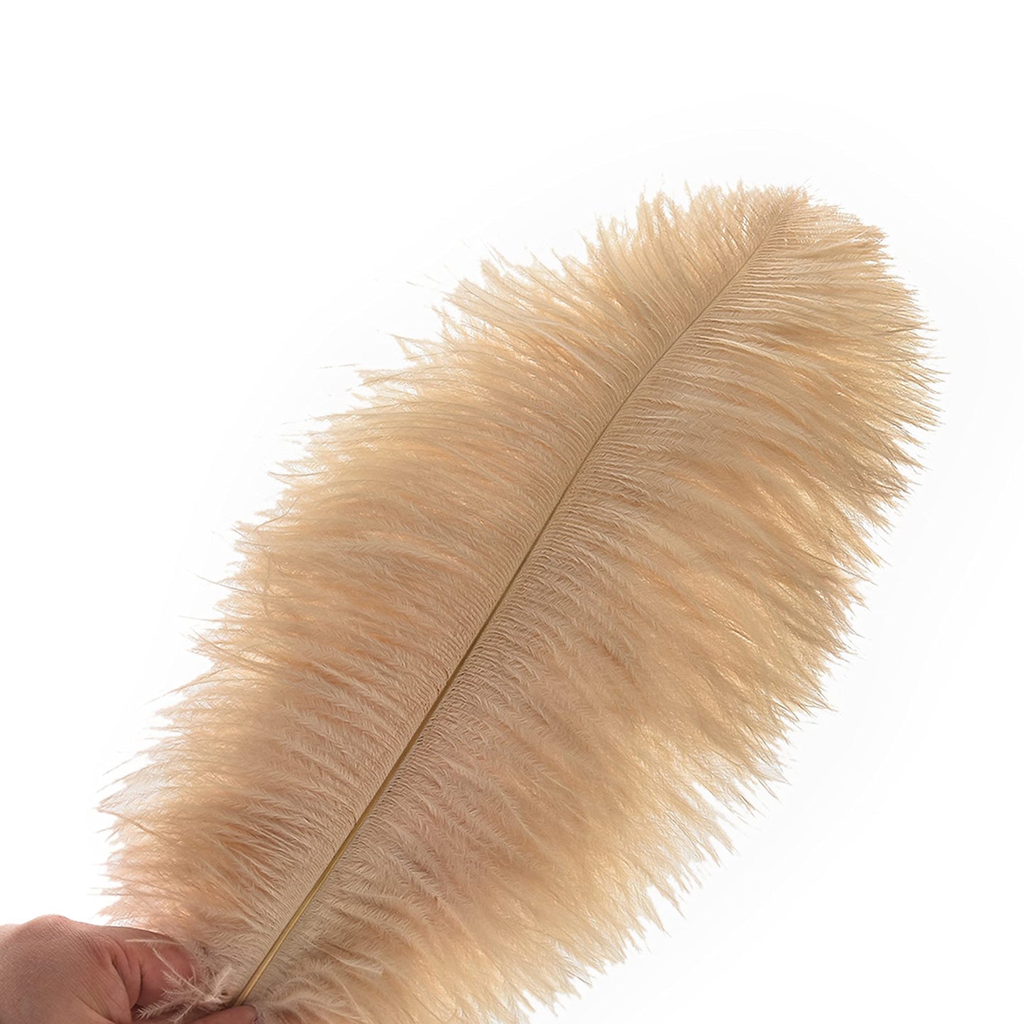 Ballinger Champagne Ostrich Feathers Bulk - 24pcs 10-12inch Boho Feathers for vase and Home Decor Wedding Party Centerpieces