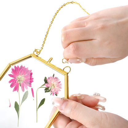 AVLA 3 Pack Pressed Flowers Glass Frames, Small Brass Floating Frame with Chain, Golden Hanging Picture Frame, Clear DIY Handmade Home Wall Decor for Displaying Artwork Dried Plant Specimen